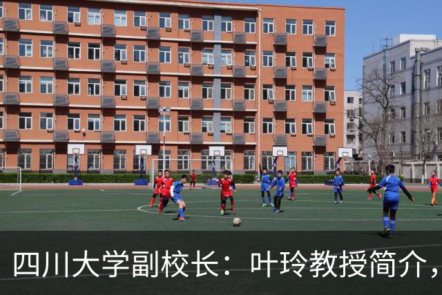 四川大学副校长：叶玲教授简介，重庆人