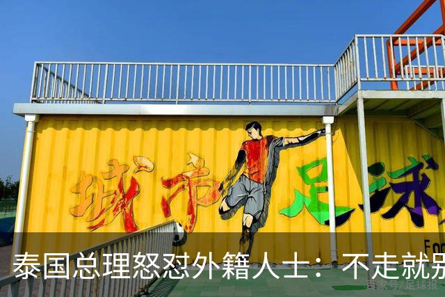 泰国总理怒怼外籍人士：不走就别怪我了！
