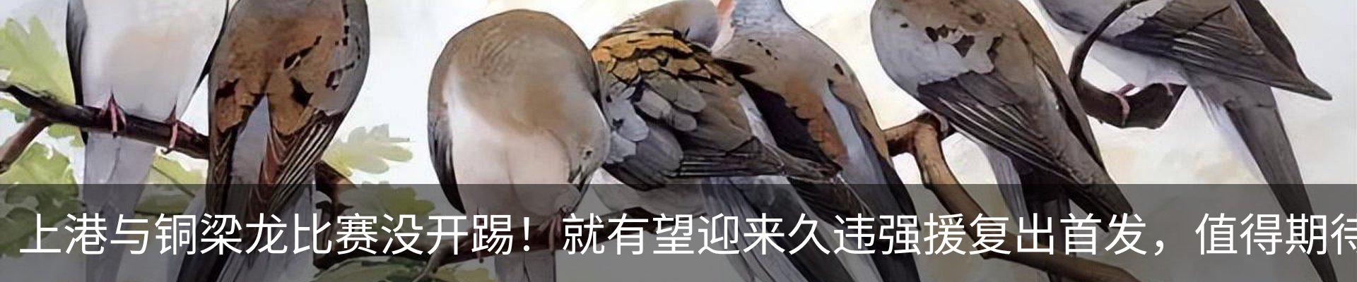 资讯动态