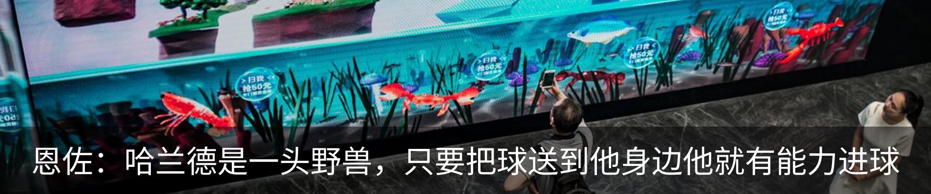 资讯动态