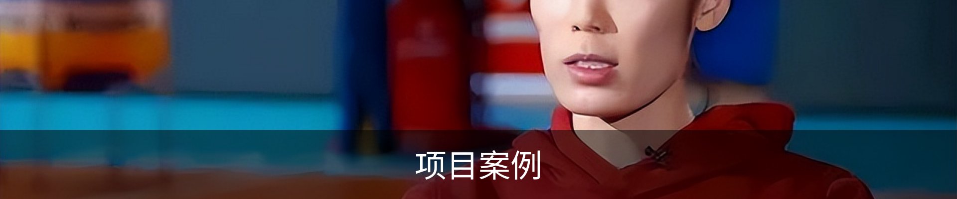 项目案例